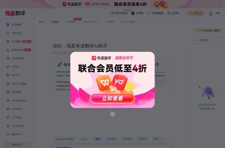 有道翻译·AI写作