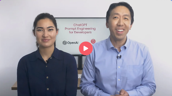 吴恩达提示词翻译版